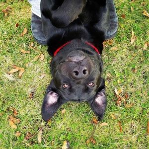 Meet your Posher, Tina